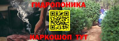 трава Гатчина