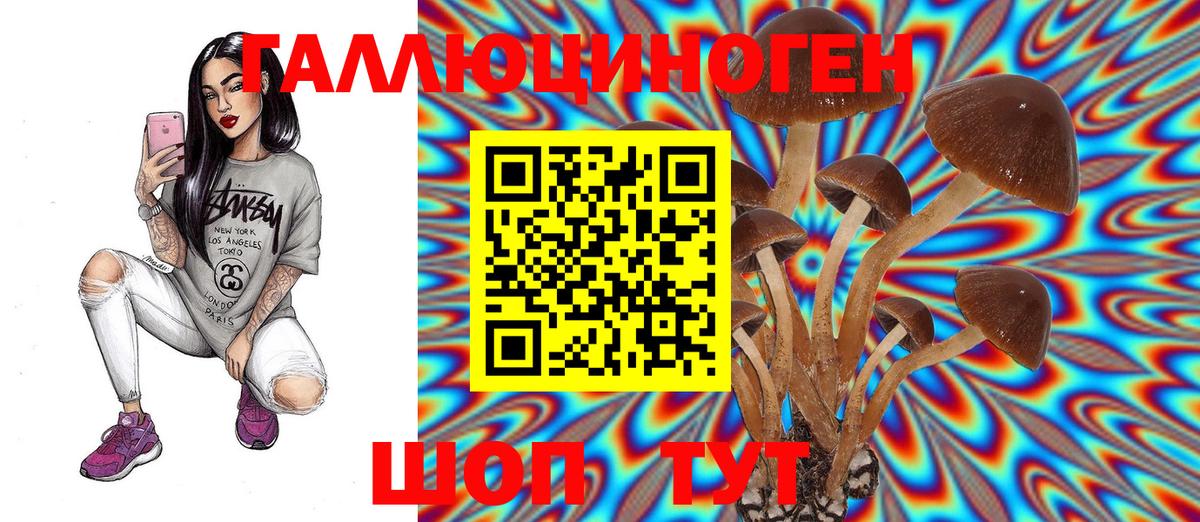 Псилоцибиновые грибы Psilocybine cubensis  Вход с VPN  Галлюциногенные грибы мухоморы  Янаул 